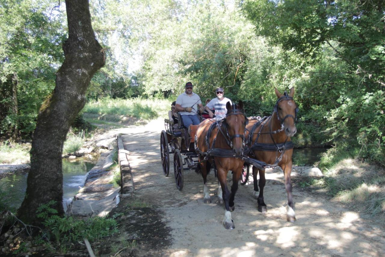 Le Mas De La Coste Saint-Sauveur-de-Cruzière Εξωτερικό φωτογραφία