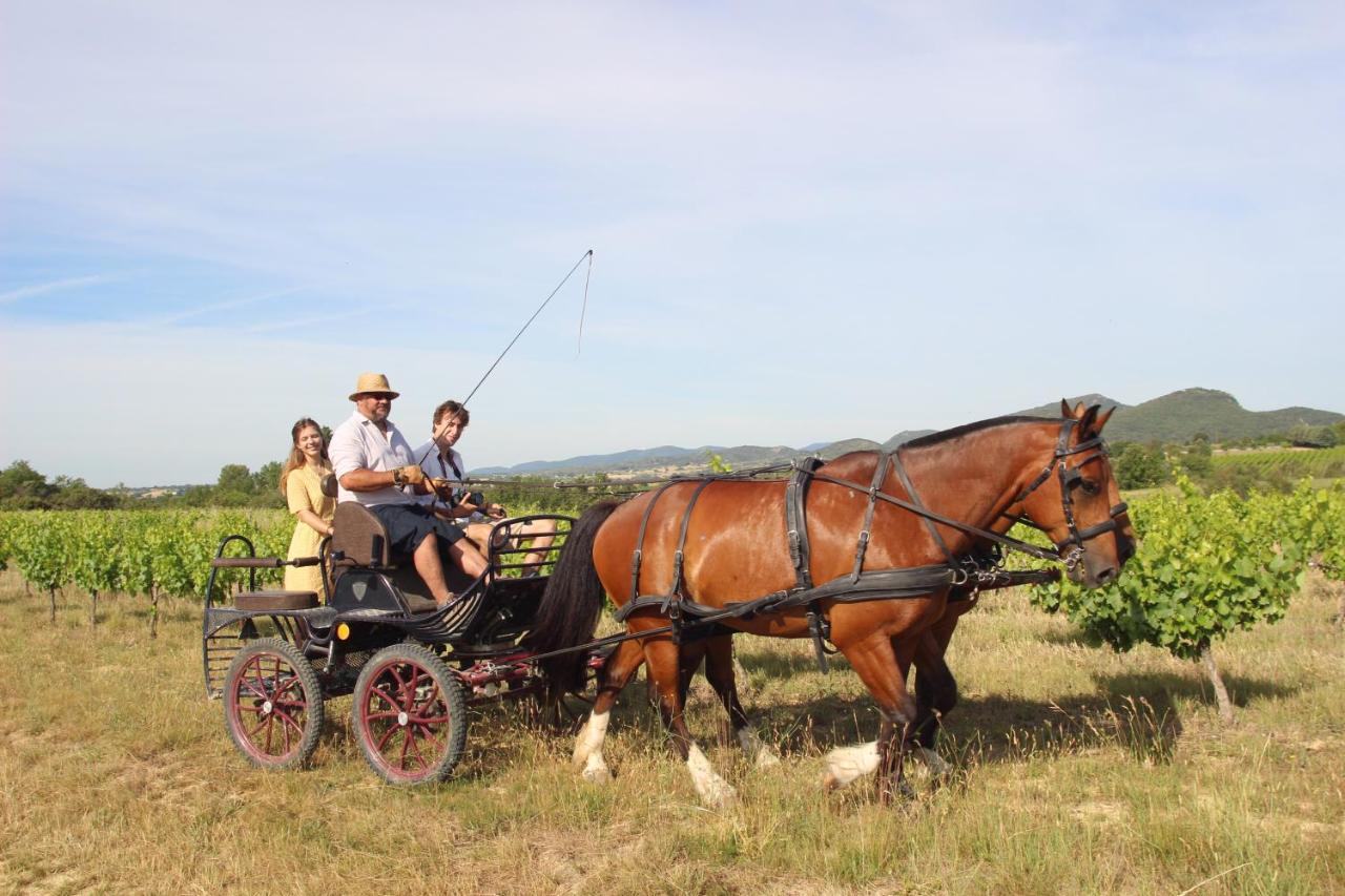 Le Mas De La Coste Saint-Sauveur-de-Cruzière Εξωτερικό φωτογραφία